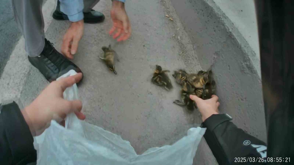 20250405aw426228 0.jpg