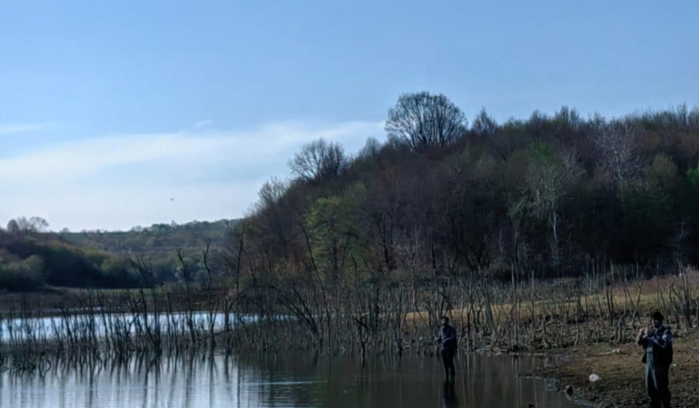 20250405aw426428 0.jpg