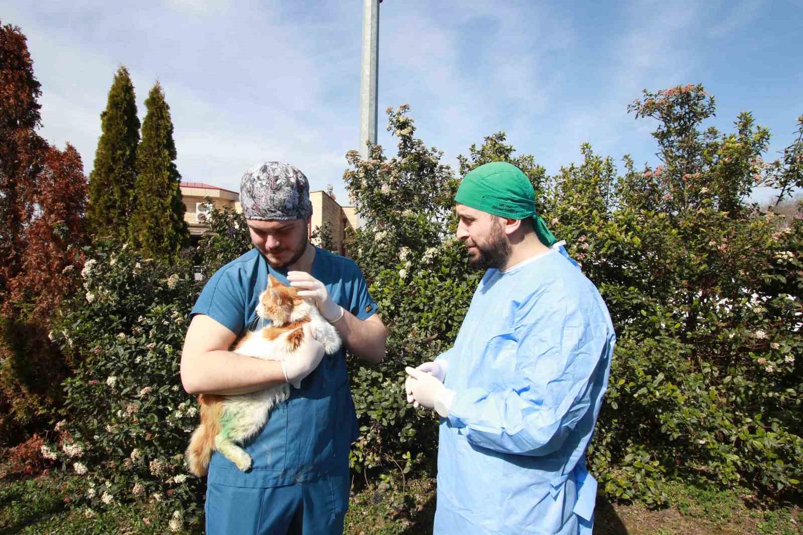 20250406aw426610 0.jpg