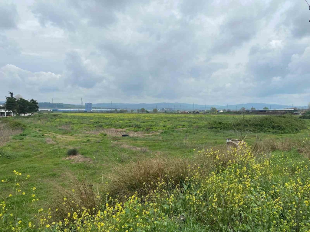 20250406aw426725 0.jpg