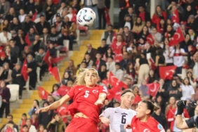 20250408aw428323-0.jpg