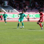 20250413aw431887-0.jpg