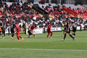 20250413aw431967-0.jpg