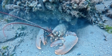 20250414aw432391-0.jpg