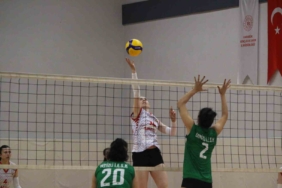 20250423aw439029-0.jpg