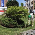 20250506aw448239-0.jpg