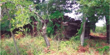 20250522aw460477-0.jpg