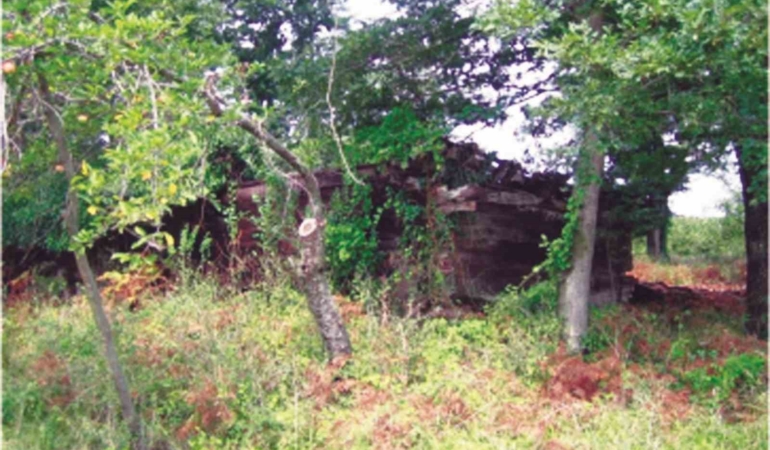 20250522aw460477-0.jpg
