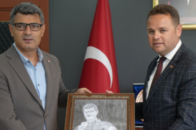 dikeya.jpg