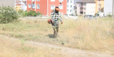 20250611aw473681-0.jpg