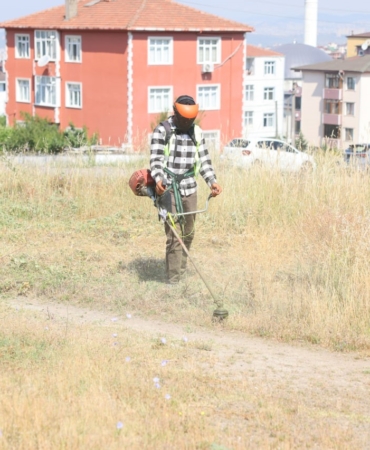 20250611aw473681-0.jpg
