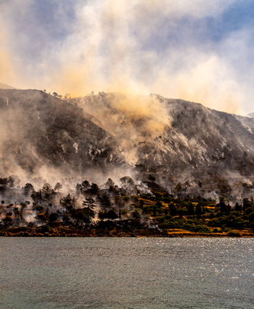 sakiz.jpg
