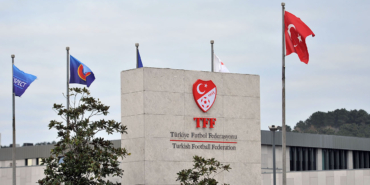tef.jpg