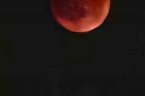 20250907aw533399-0.jpg