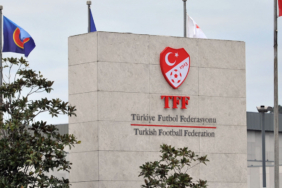 tef.jpg