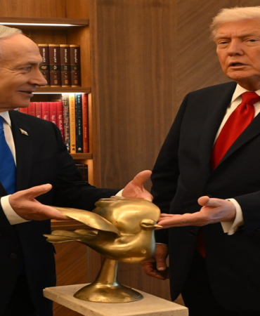 269.jpg