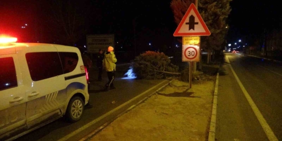 Malatya’da fırtına ağaçları kökünden söktü