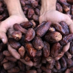 Hurma-alirken-ve-saklarken-dikkat-Buzdolabi-uyarisi-geldi-featured