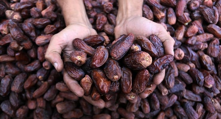 Hurma-alirken-ve-saklarken-dikkat-Buzdolabi-uyarisi-geldi-featured