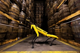 Iskocyada-Viski-Depolarinin-Yeni-Muhafizi-Robot-Kopek-featured