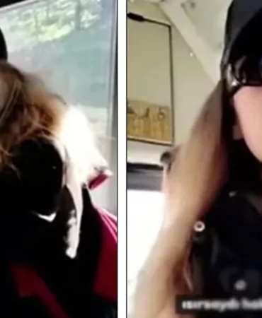 Otobuste-8216Savciyim8217-Diyerek-Tehditler-Savuran-Kadin-Yakalandi-featured