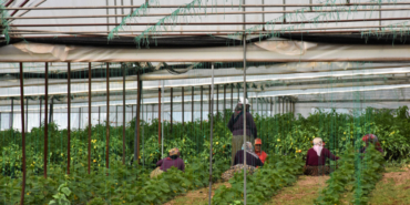 Tarim-UFE-Ocak-Ayinda-Ucusa-Gecti-Uretici-Enflasyonu-Yuzde-846-Artti-featured