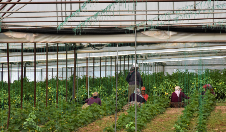 Tarim-UFE-Ocak-Ayinda-Ucusa-Gecti-Uretici-Enflasyonu-Yuzde-846-Artti-featured