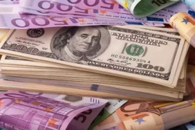 Döviz Piyasasında Hareketli Gün